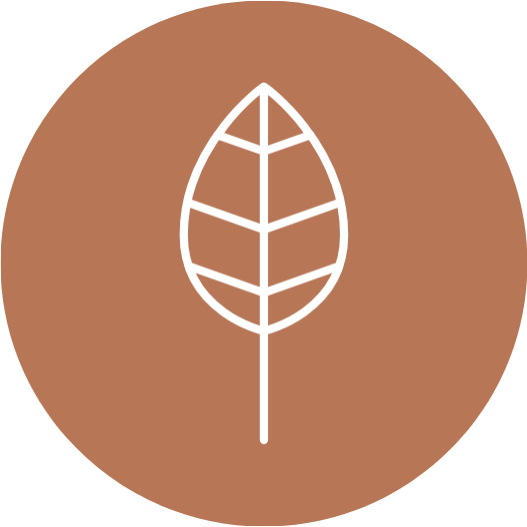 Vegane Heimdekoration